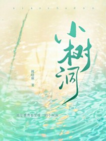 小树洞 小树洞