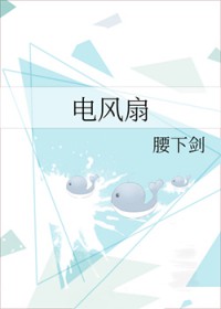 电风扇 电风扇