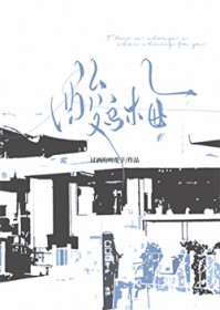 酸乌梅 酸乌梅
