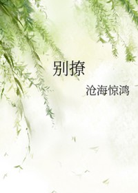 别撩 别撩