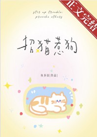 招猫惹狗 招猫惹狗