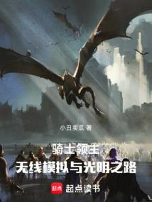 骑士领主:无限模拟与光明之路 骑士领主:无限模拟与光明之路