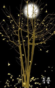 �����޳�������Դ