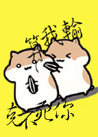 ˲䣡